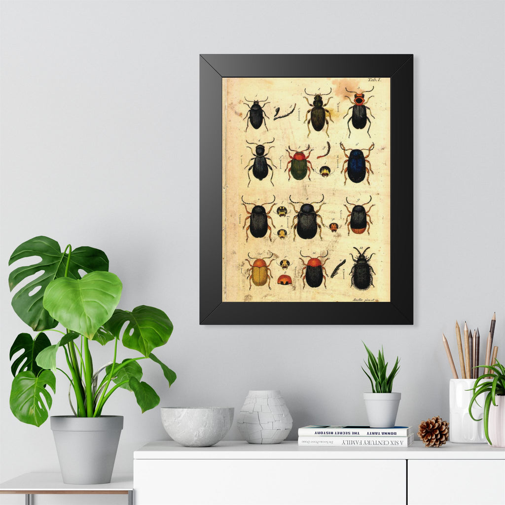 Beetle Plate Framed Print