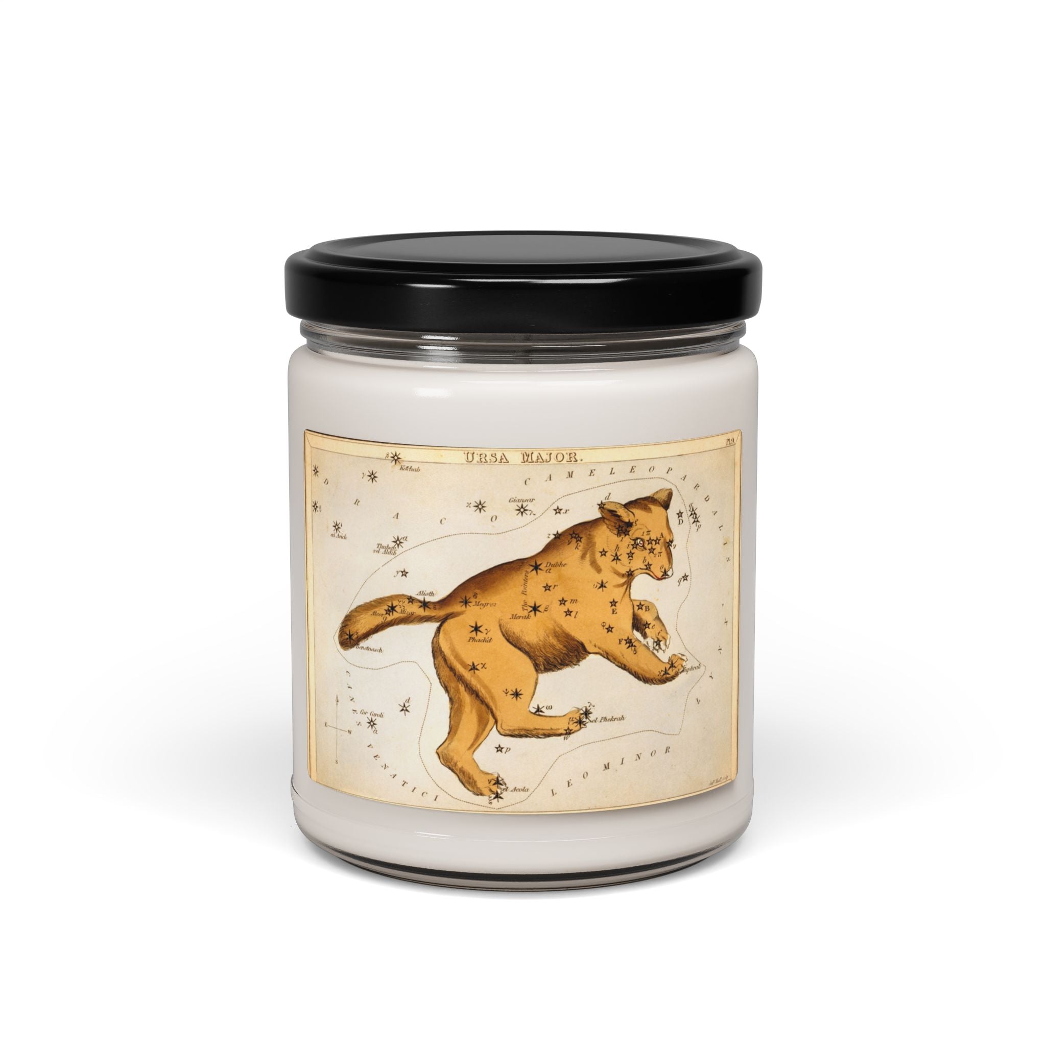 Starry Nights Soy Candle, 9oz